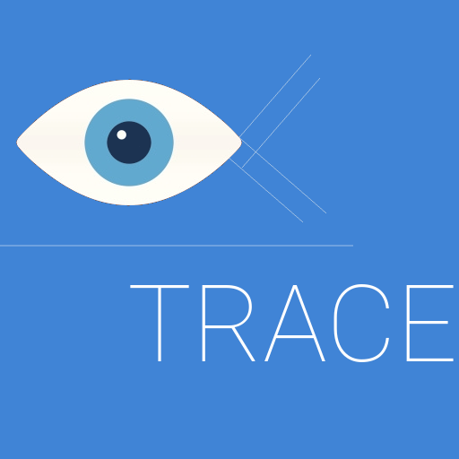 Software emulation of vision